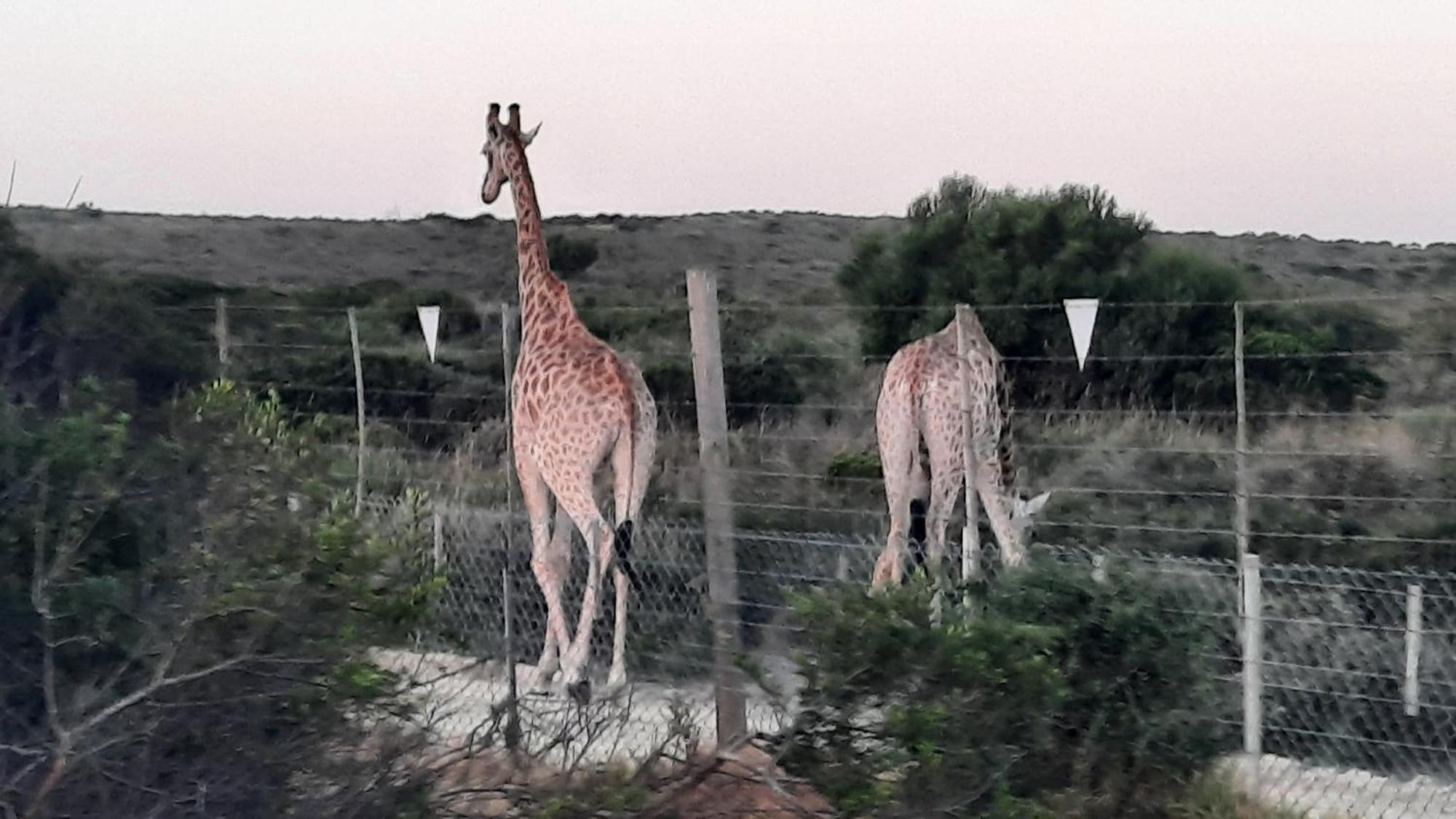 Ons Fontein Villa Langebaan Kültér fotó